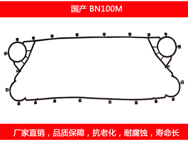 BN100M 国产下载星空app体育
密封垫片
