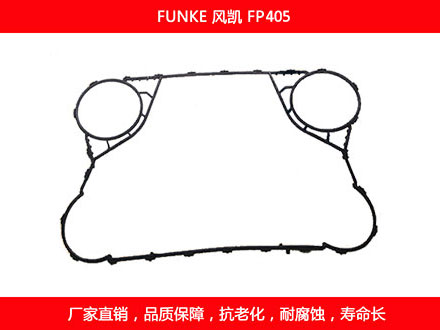 FP405 星空体育预测软件下载
