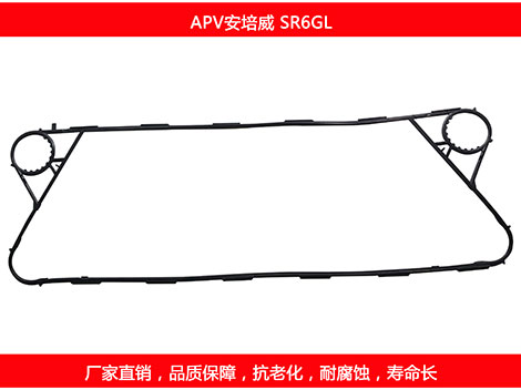 SR6GL 星空体育预测软件下载
