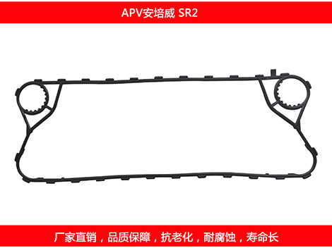 SR2 星空体育预测软件下载
