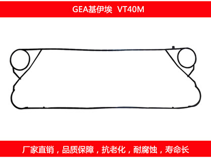 VT40M 星空体育预测软件下载
