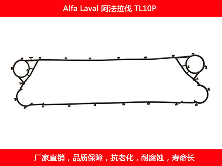 TL10P 星空体育预测软件下载
