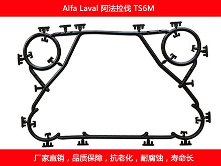 TS6M 星空体育预测软件下载
