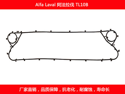 TL10B 星空体育预测软件下载
