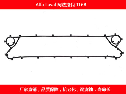 TL6B 星空体育预测软件下载
