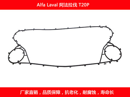 T20P 星空体育预测软件下载
