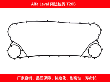 T20B 星空体育预测软件下载
