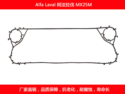 MX25M 星空体育预测软件下载
