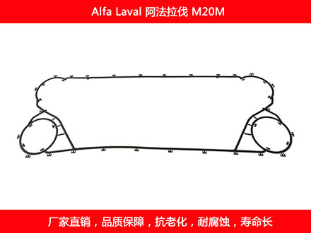 M20M 星空体育预测软件下载
