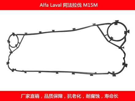 M15M 星空体育预测软件下载
