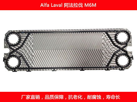 M6M 星空体育预测软件下载
