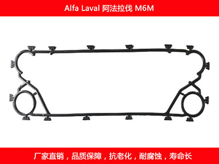 M6M 星空体育预测软件下载
