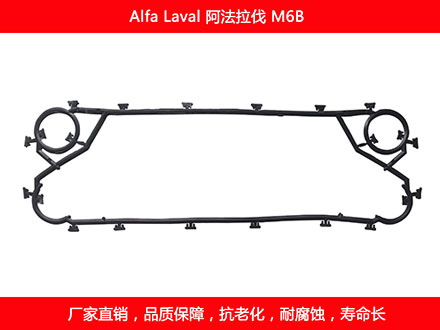 M6B 星空体育预测软件下载

